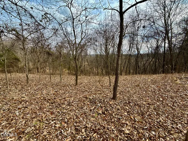 $212,000 | 25-ac Horton Highway, Unit 9, Chuckey, TN 37641