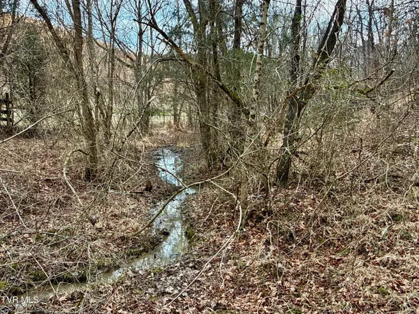 $212,000 | 25-ac Horton Highway, Unit 9, Chuckey, TN 37641