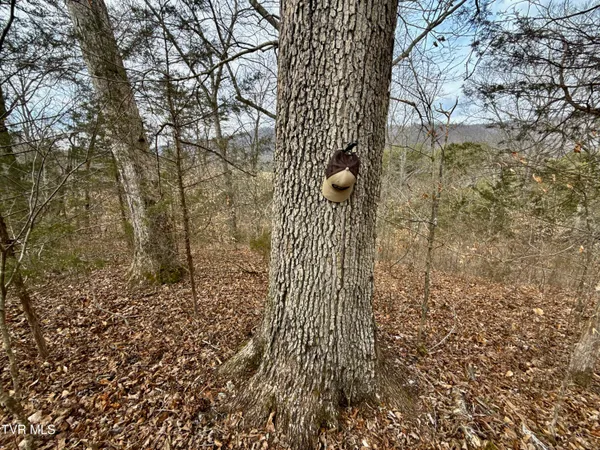 $212,000 | 25-ac Horton Highway, Unit 9, Chuckey, TN 37641