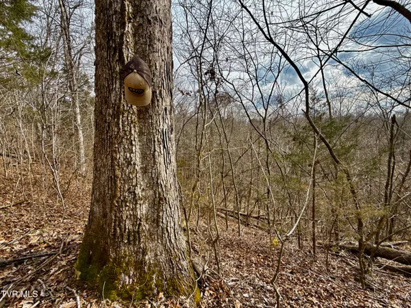 $212,000 | 25-ac Horton Highway, Unit 9, Chuckey, TN 37641