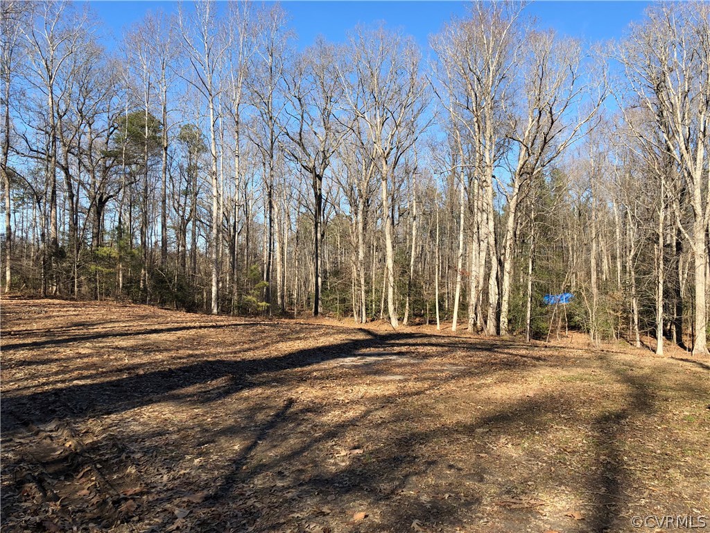 7721 Deer Run Road New Kent, VA 23124 - Photo 21 of 22 a view of road and trees