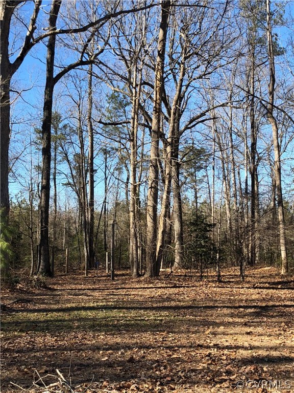 7721 Deer Run Road New Kent, VA 23124 - Photo 22 of 22 a view of a yard with trees