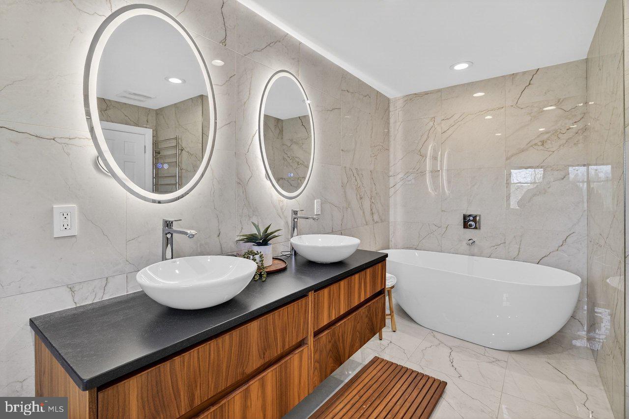 101 Mill Pond Road Belle Mead, NJ 08502 - Photo 17 of 29 Primary Bath with Free Standing Soaking Tub