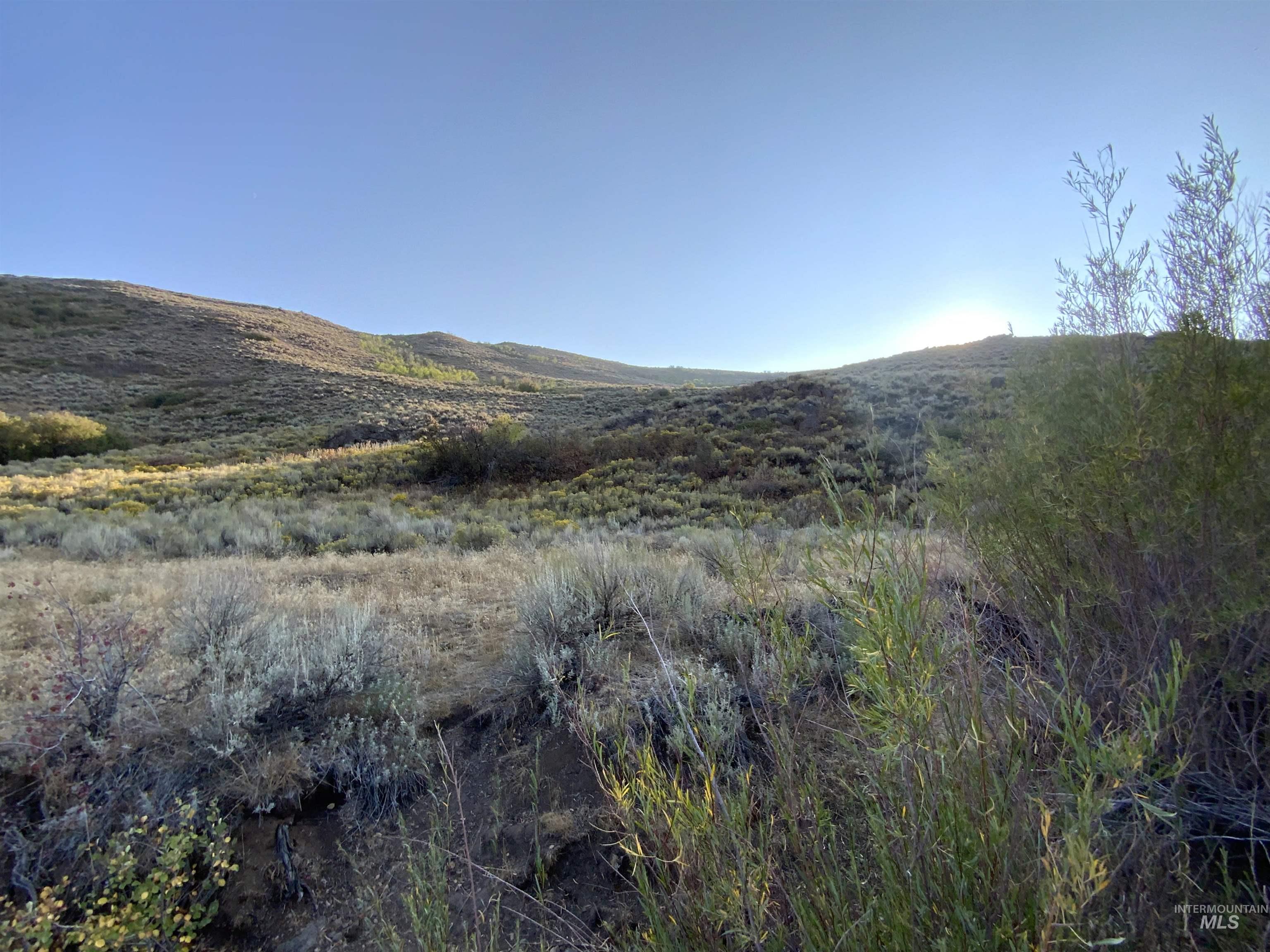 Poison Creek Road Bellevue, ID 83313 - Photo 5 of 18 Gallery Image 5