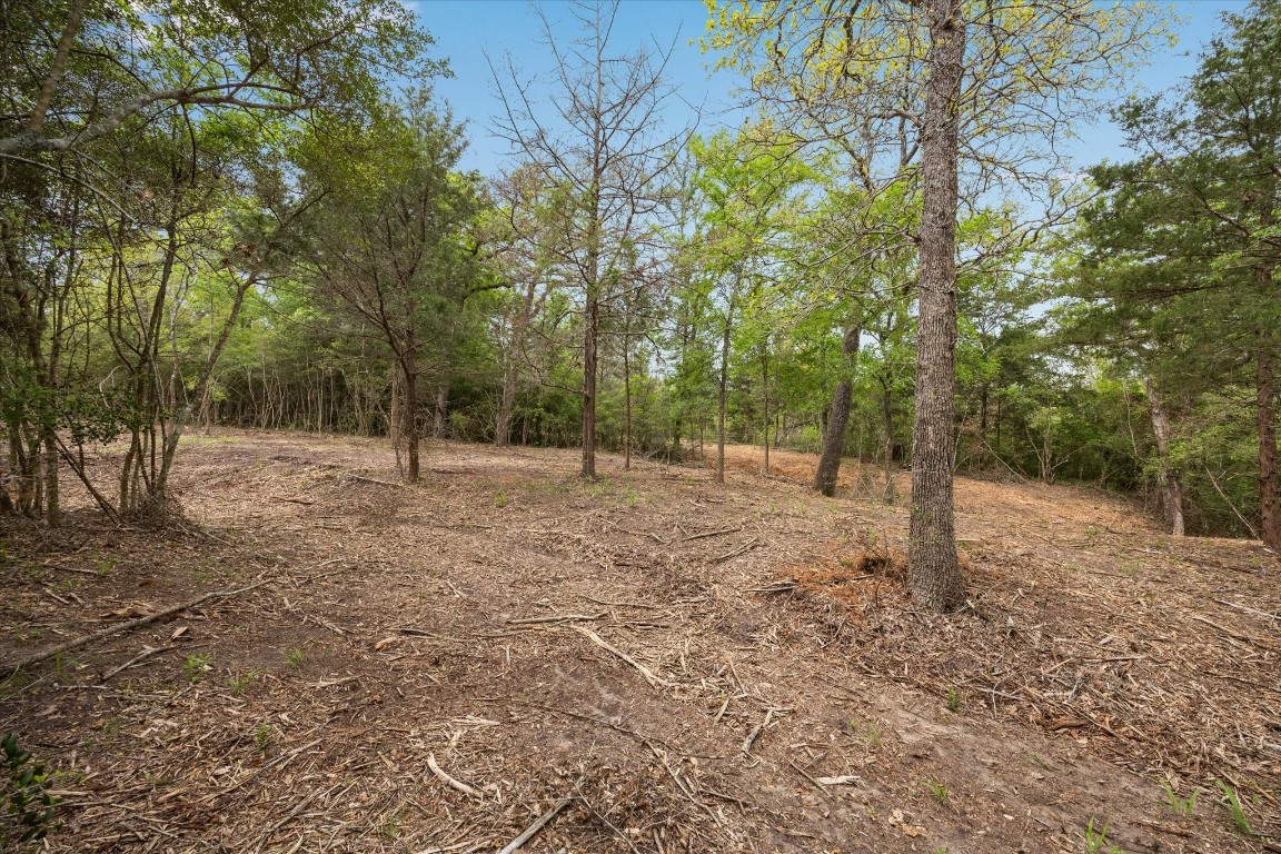 4539 Old Navasota Road Brenham, TX 77833 - Photo 13 of 16