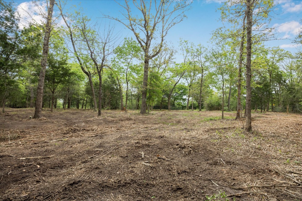 4539 Old Navasota Road Brenham, TX 77833 - Photo 14 of 16