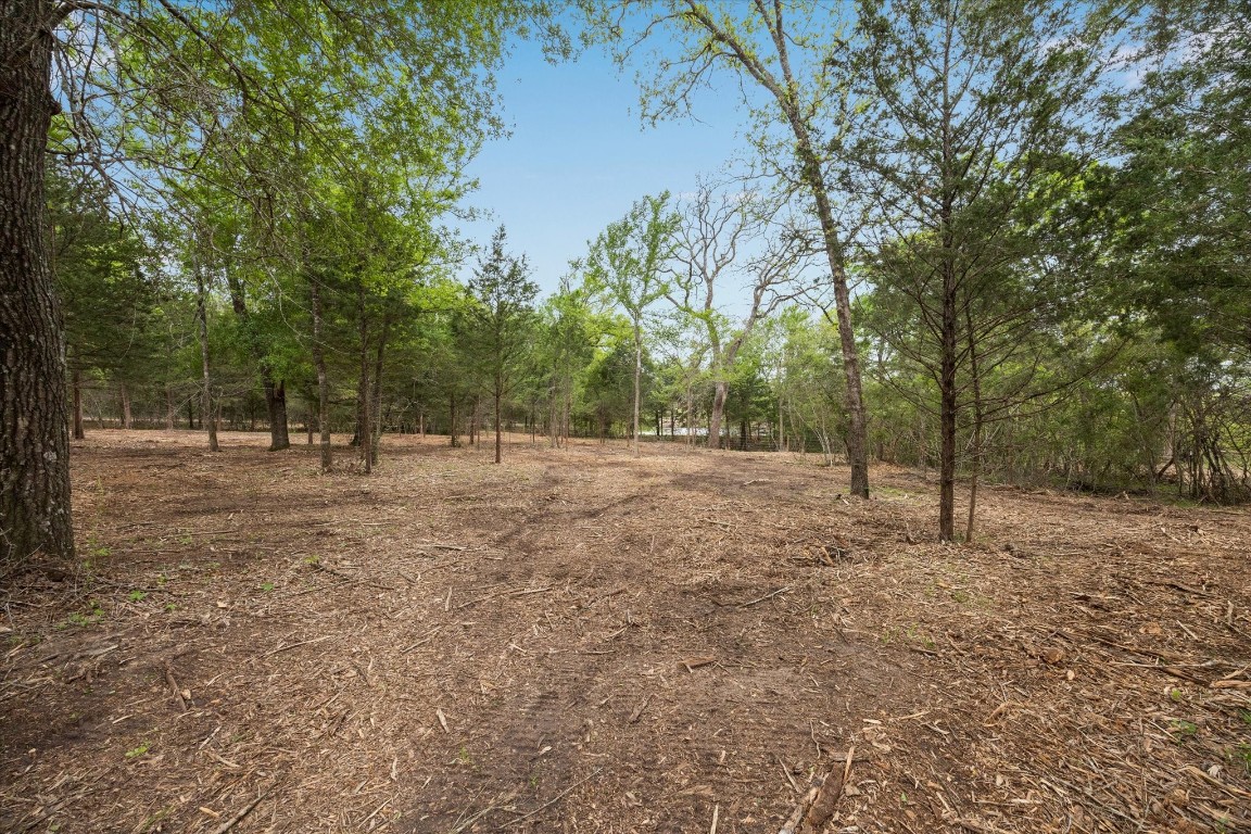 4539 Old Navasota Road Brenham, TX 77833 - Photo 15 of 16
