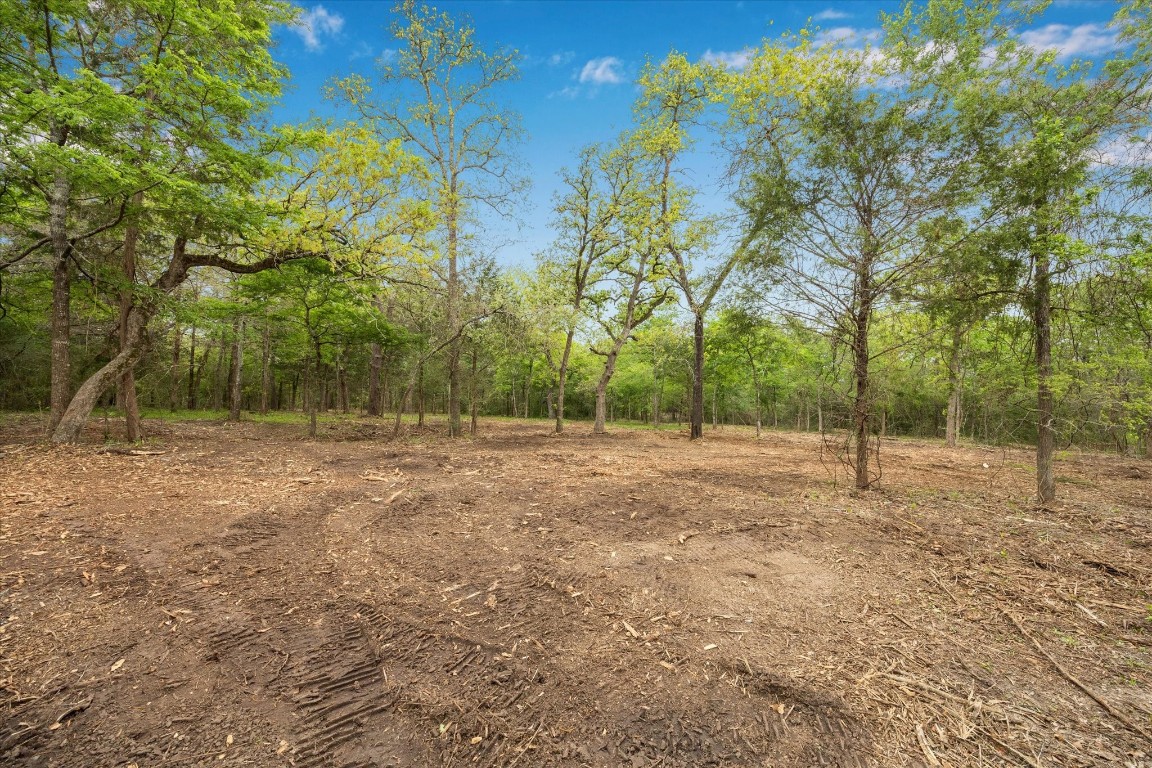 4539 Old Navasota Road Brenham, TX 77833 - Photo 4 of 16