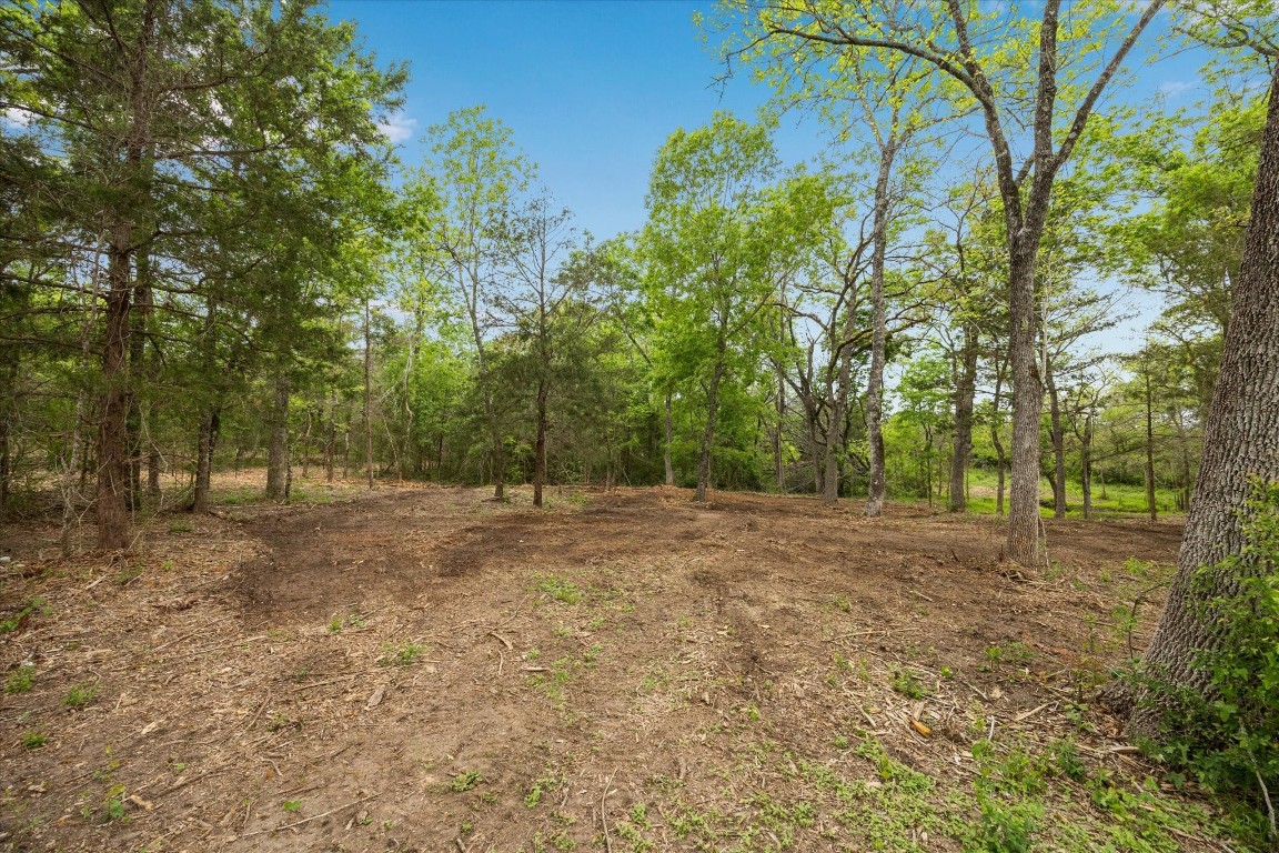 4539 Old Navasota Road Brenham, TX 77833 - Photo 5 of 16