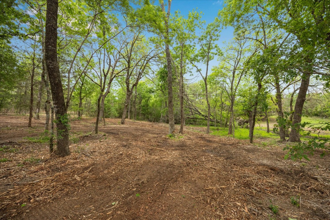 4539 Old Navasota Road Brenham, TX 77833 - Photo 6 of 16