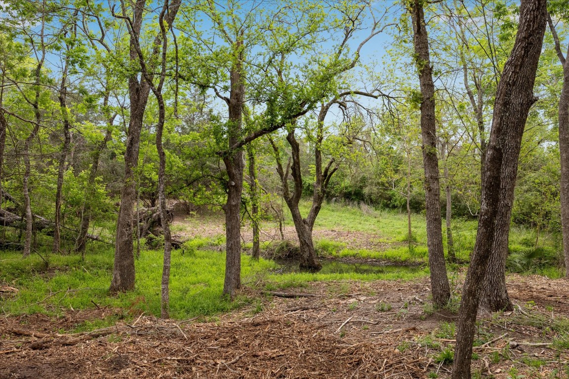4539 Old Navasota Road Brenham, TX 77833 - Photo 7 of 16