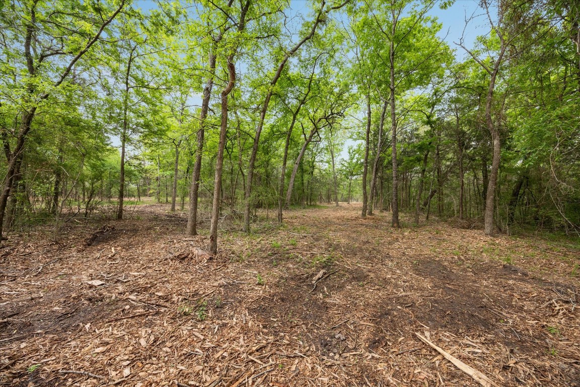 4539 Old Navasota Road Brenham, TX 77833 - Photo 8 of 16