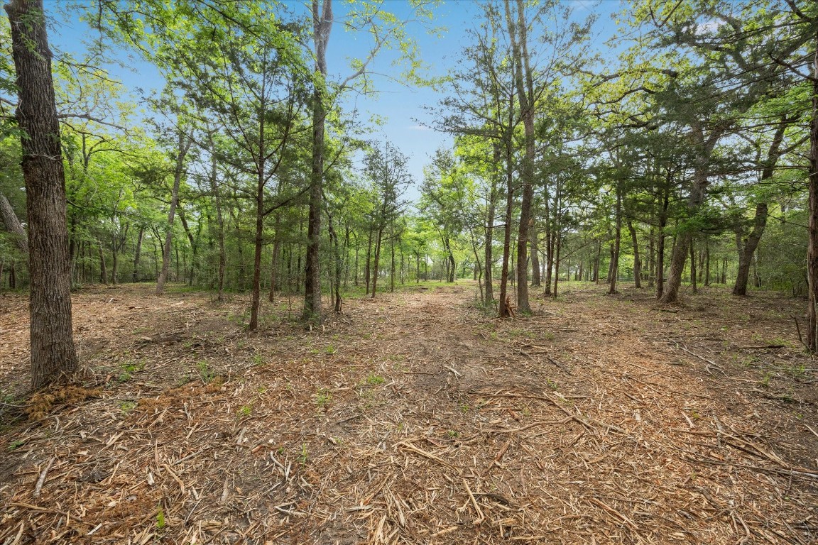 4539 Old Navasota Road Brenham, TX 77833 - Photo 10 of 16