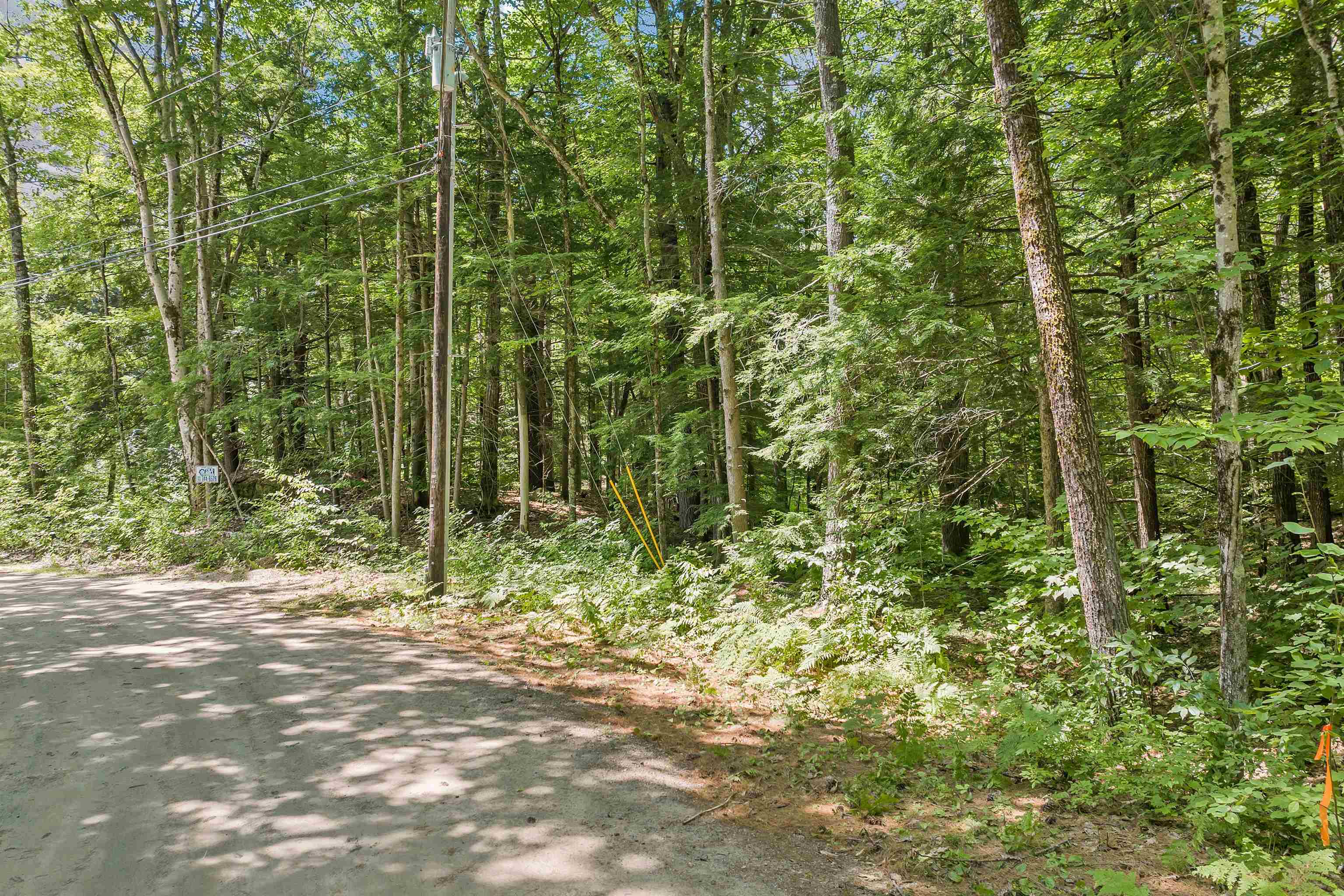 Lot 20 Smoke Rise Road, Unit 20 New Hampton, NH 03256 - Photo 2 of 6