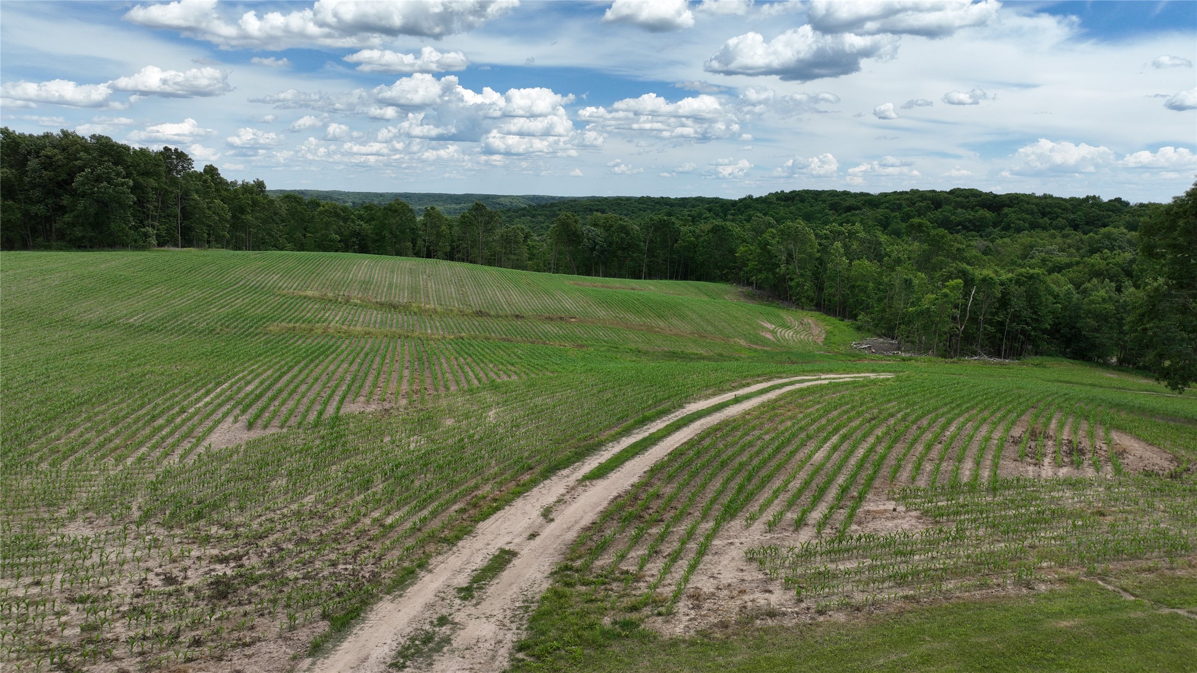 Xx County Rd Q Downing, WI 54734 - Photo 13 of 45