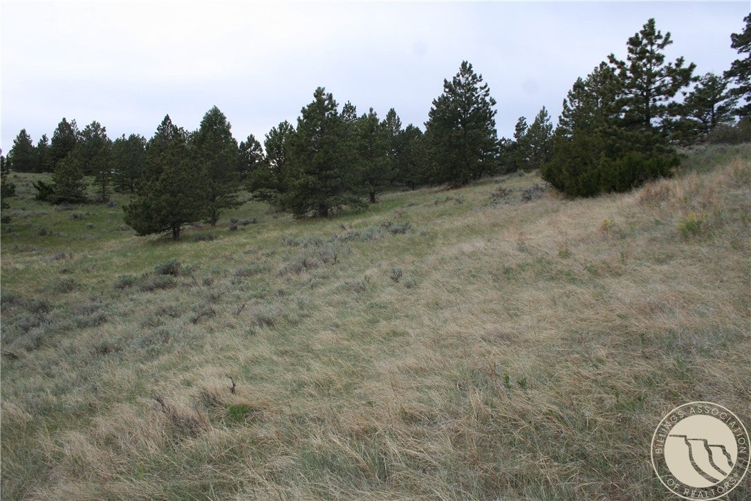 Lot 71 North Harrier Road Reed Point, MT 59069 - Photo 20 of 32 Gallery Image 20