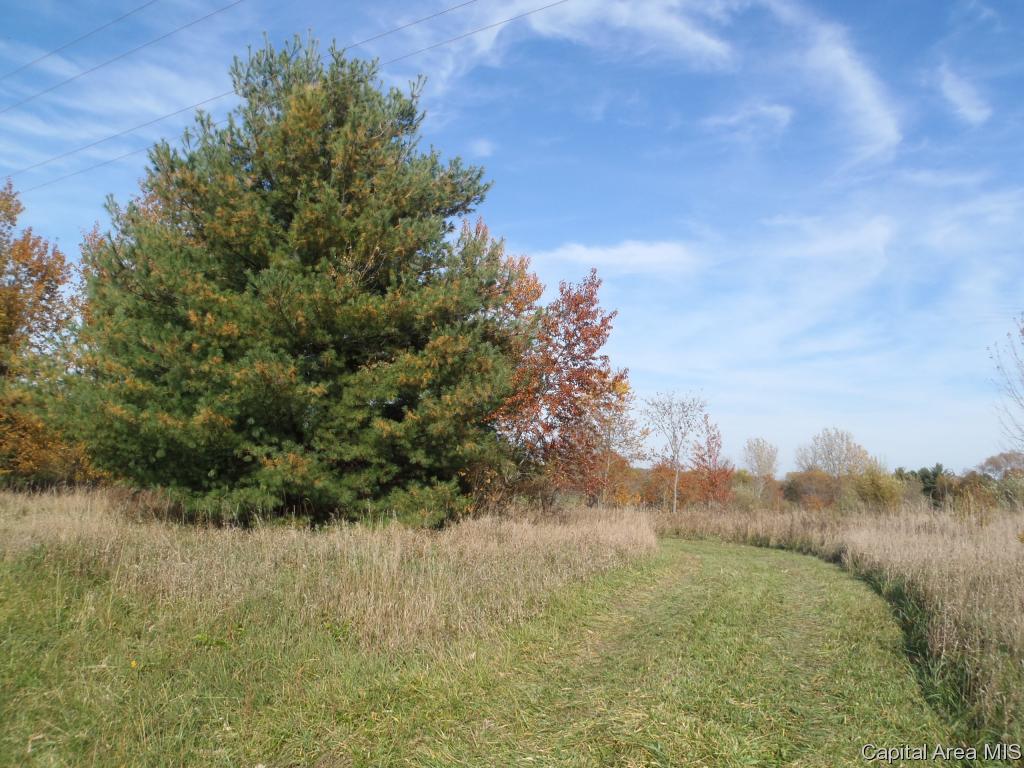 124 State Route Sherman, IL 62684 - Photo 2 of 7 Gallery Image 2