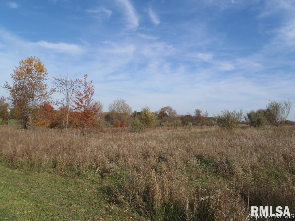 124 State Route Sherman, IL 62684 - Photo 3 of 7 Gallery Image 3
