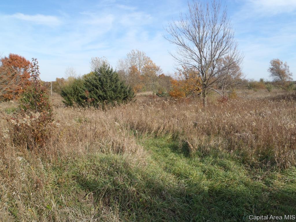 124 State Route Sherman, IL 62684 - Photo 4 of 7 Gallery Image 4