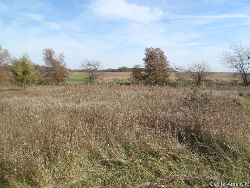 124 State Route Sherman, IL 62684 - Photo 5 of 7 Gallery Image 5