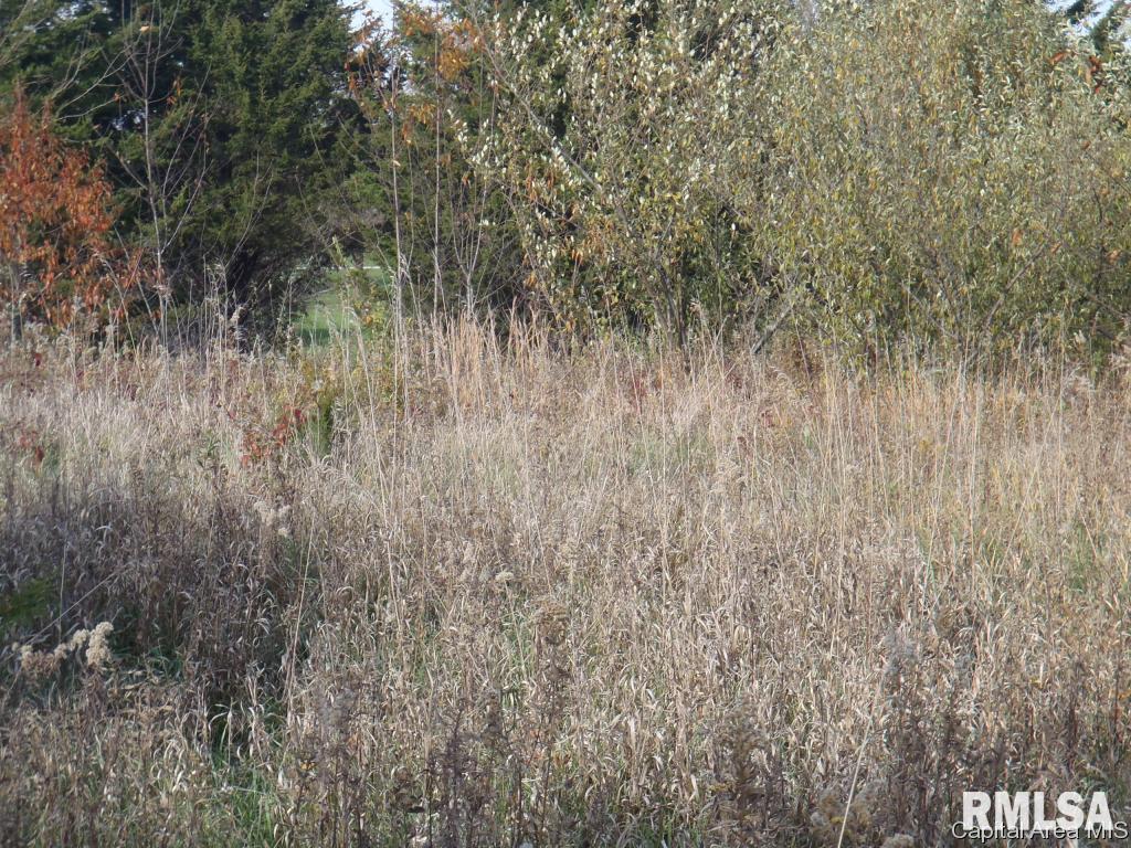 124 State Route Sherman, IL 62684 - Photo 6 of 7 Gallery Image 6