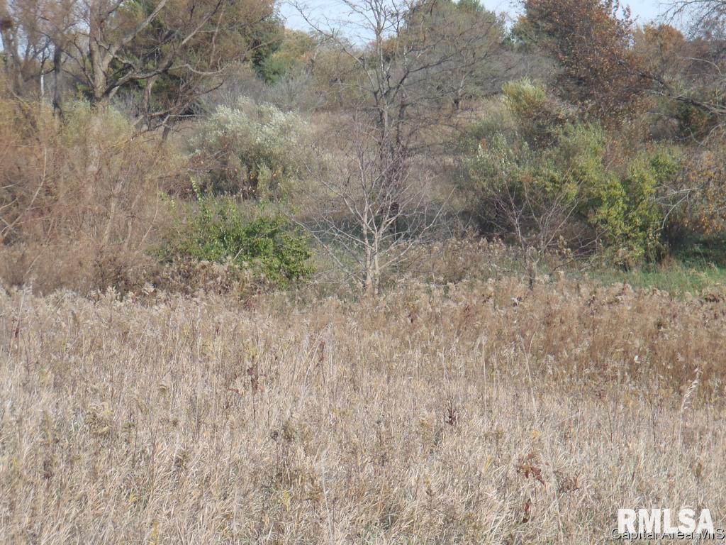 124 State Route Sherman, IL 62684 - Photo 7 of 7 Gallery Image 7