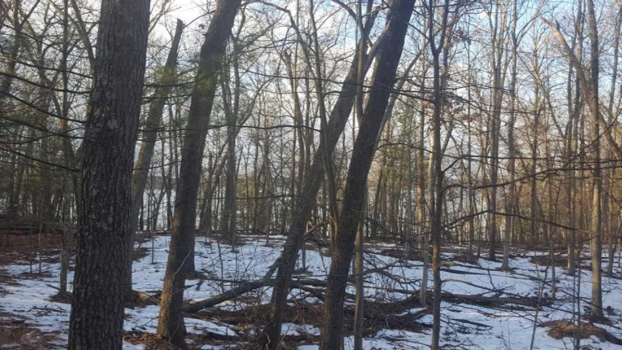 49 Wintergreen Road Allegan, MI 49010 - Photo 2 of 6 9