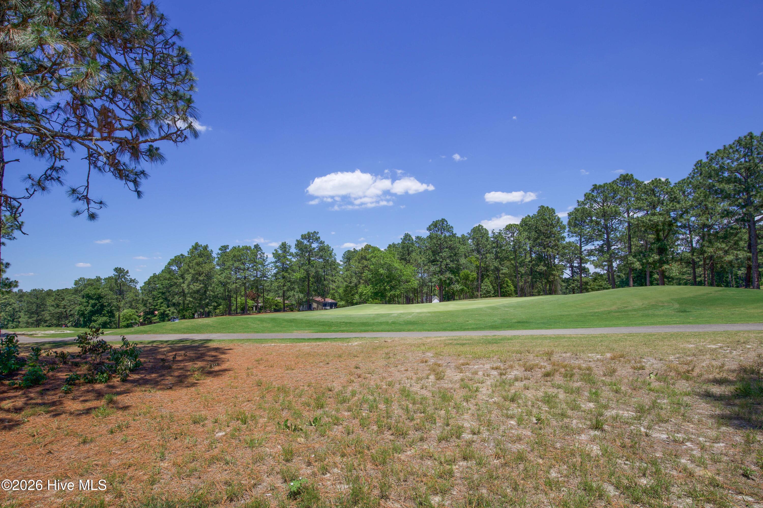 6 Pine Tree Terrace Jackson Springs, NC 27281 - Photo 31 of 35