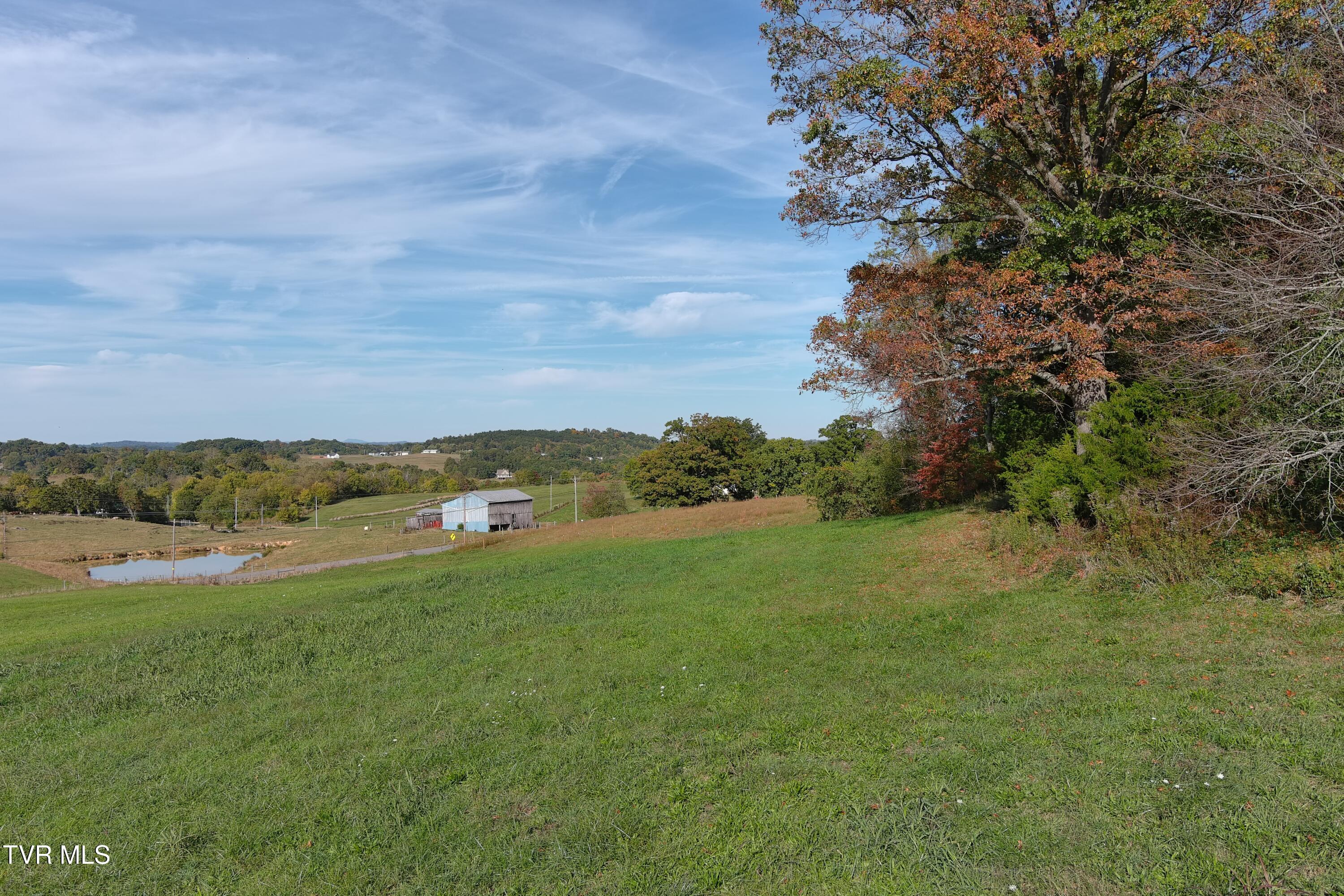 0 Cedar Creek Road Greeneville, TN 37743 - Photo 8 of 18 7MAX_0026