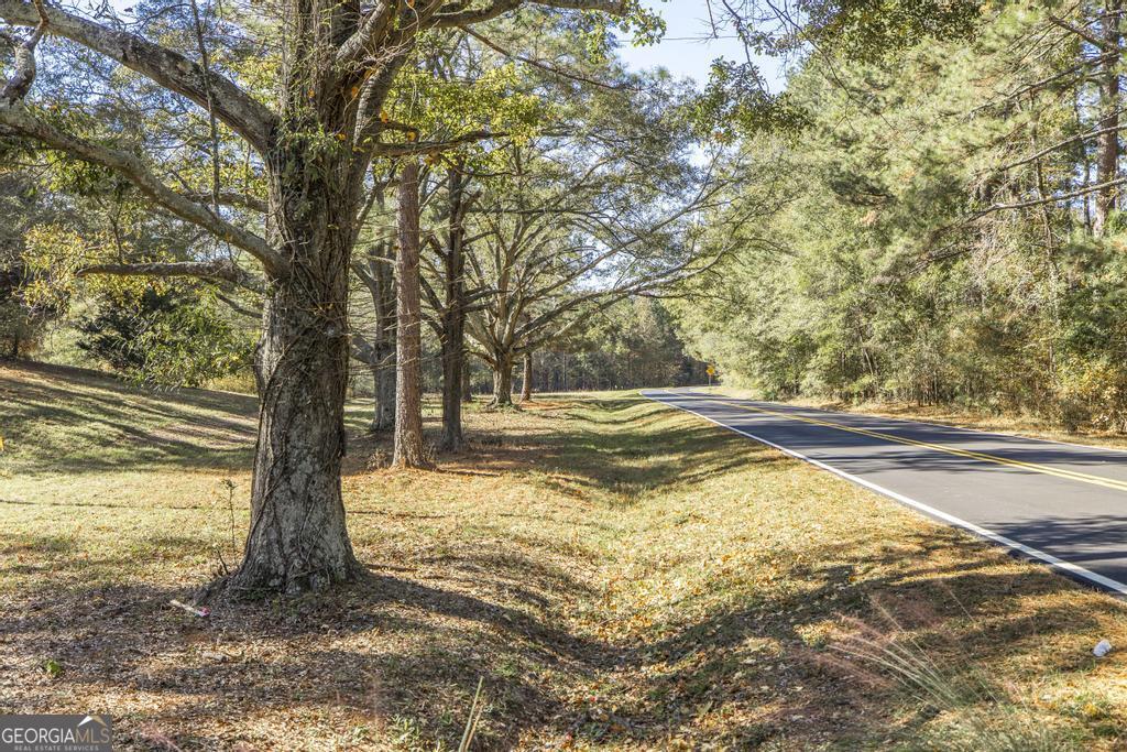 1701 Blue Springs Road Buckhead, GA 30625 - Photo 9 of 24 a view of outdoor space with trees