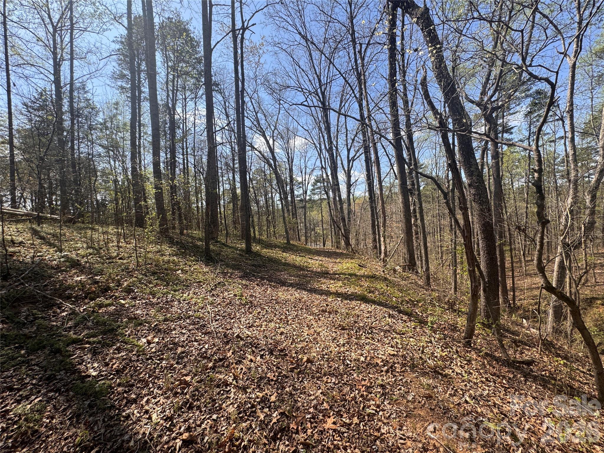 150-4 Thamon Road Shelby, NC 28150 - Photo 20 of 23 Gallery Image 20