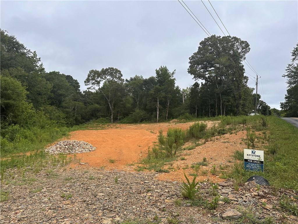 0 Woodall Road Cedartown, GA 30125 - Photo 5 of 6