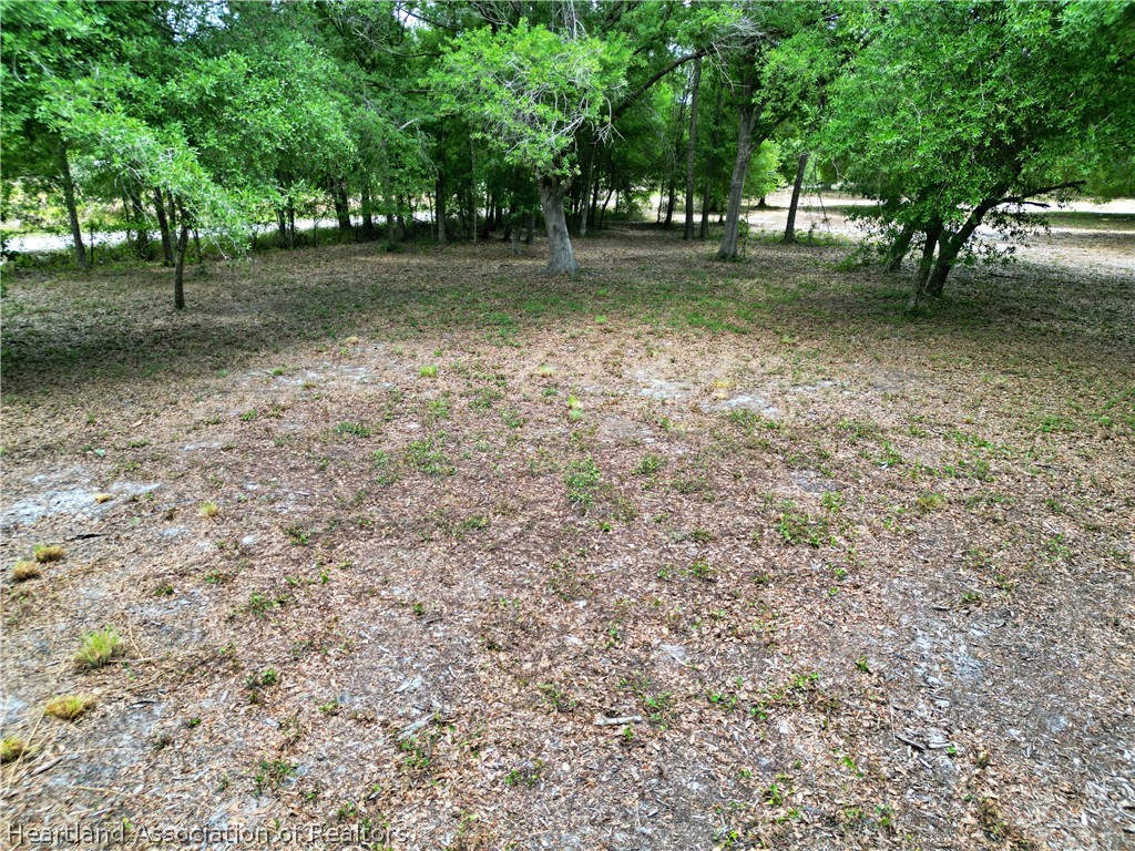 2032 Gilliard Farm Road Wauchula, FL 33873 - Photo 11 of 13 Gallery Image 11