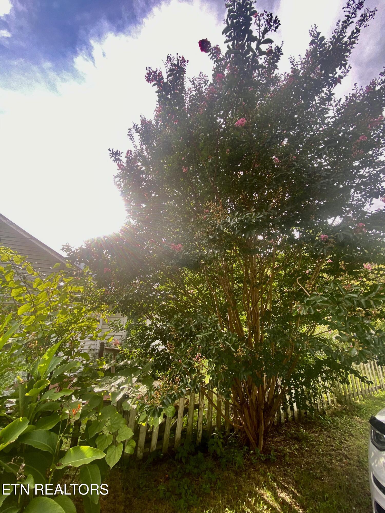 1825 Newman Town Road Pigeon Forge, TN 37862 - Photo 29 of 37 IMG_5909