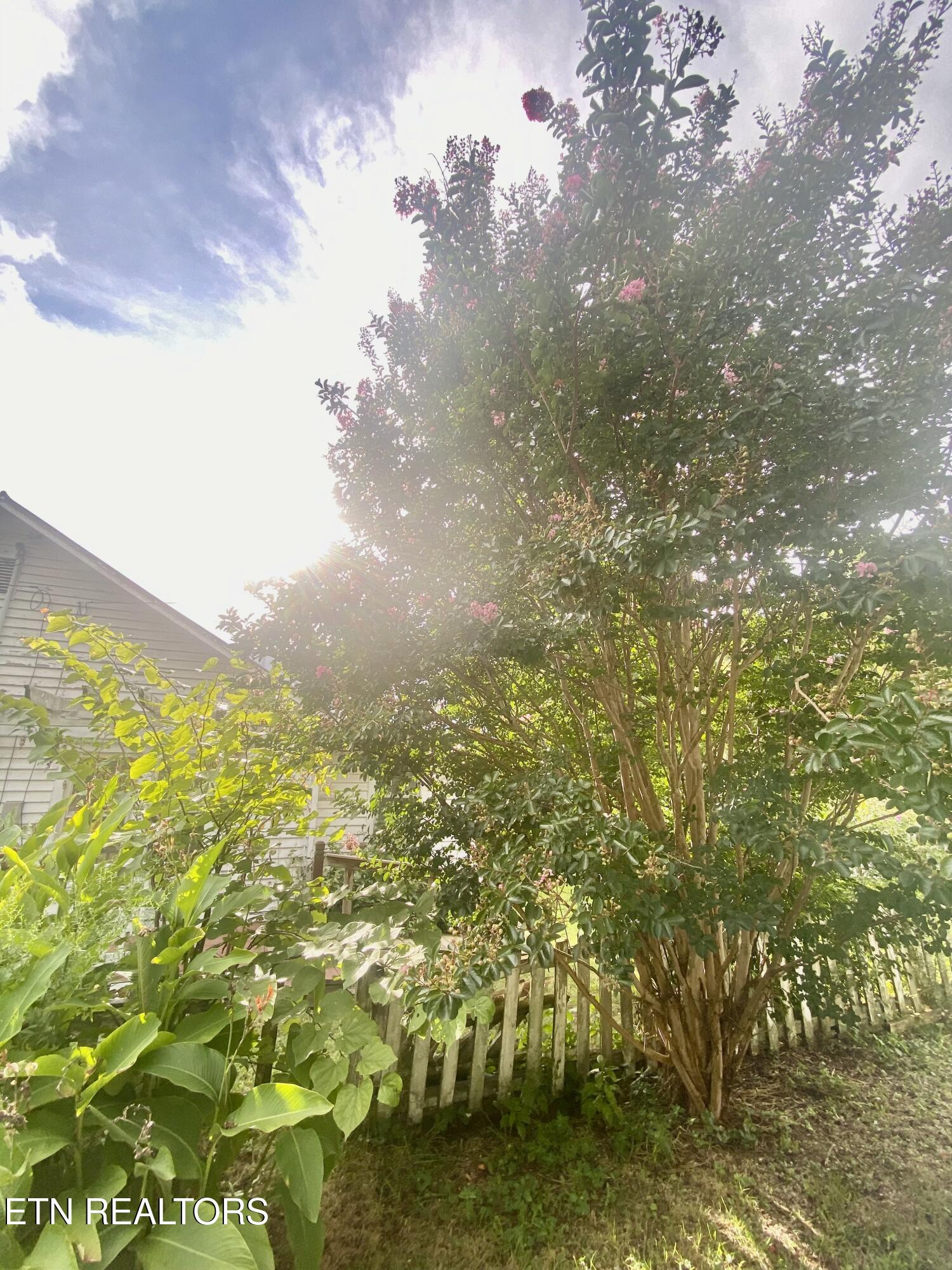 1825 Newman Town Road Pigeon Forge, TN 37862 - Photo 33 of 37 IMG_5910