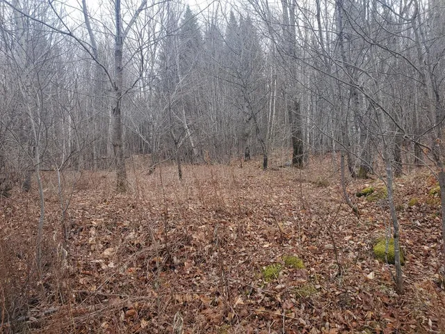 $38,000 | Lot 4 West Of May Mountain Rd Island Falls, Island Falls, ME 04747