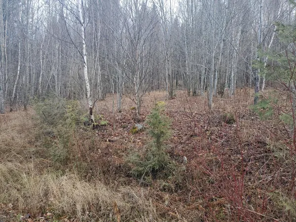 $38,000 | Lot 4 West Of May Mountain Rd Island Falls, Island Falls, ME 04747