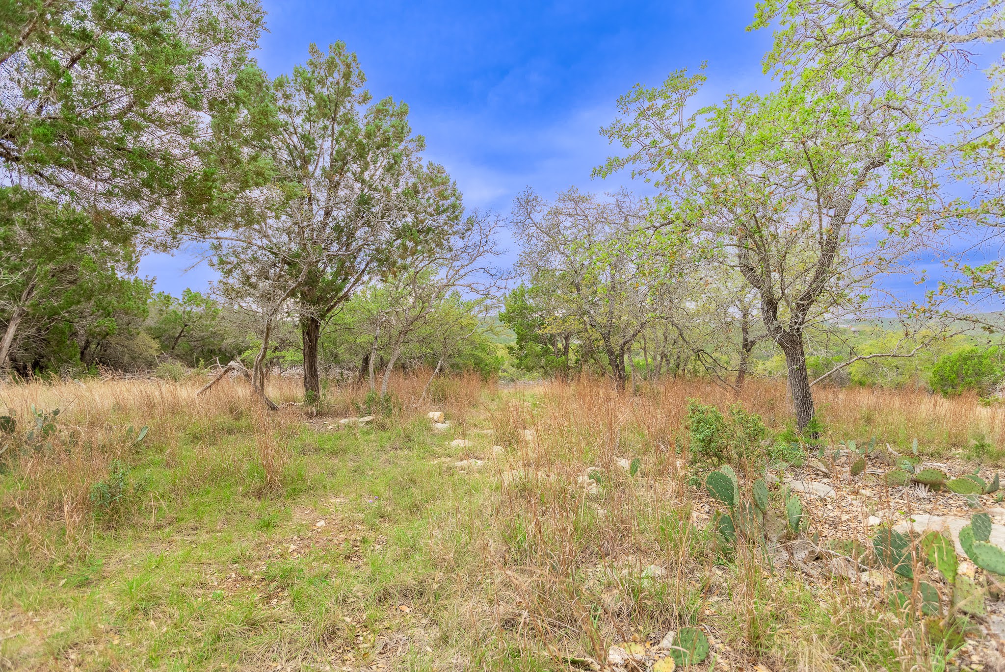 1925 Cripple Creek Stage Road Dripping Springs, TX 78620 - Photo 21 of 38