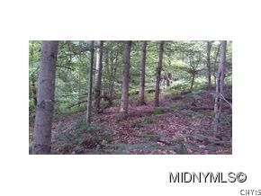 0 Houser Road Ava, NY 13303 - Photo 1 of 1 Gallery Image 1