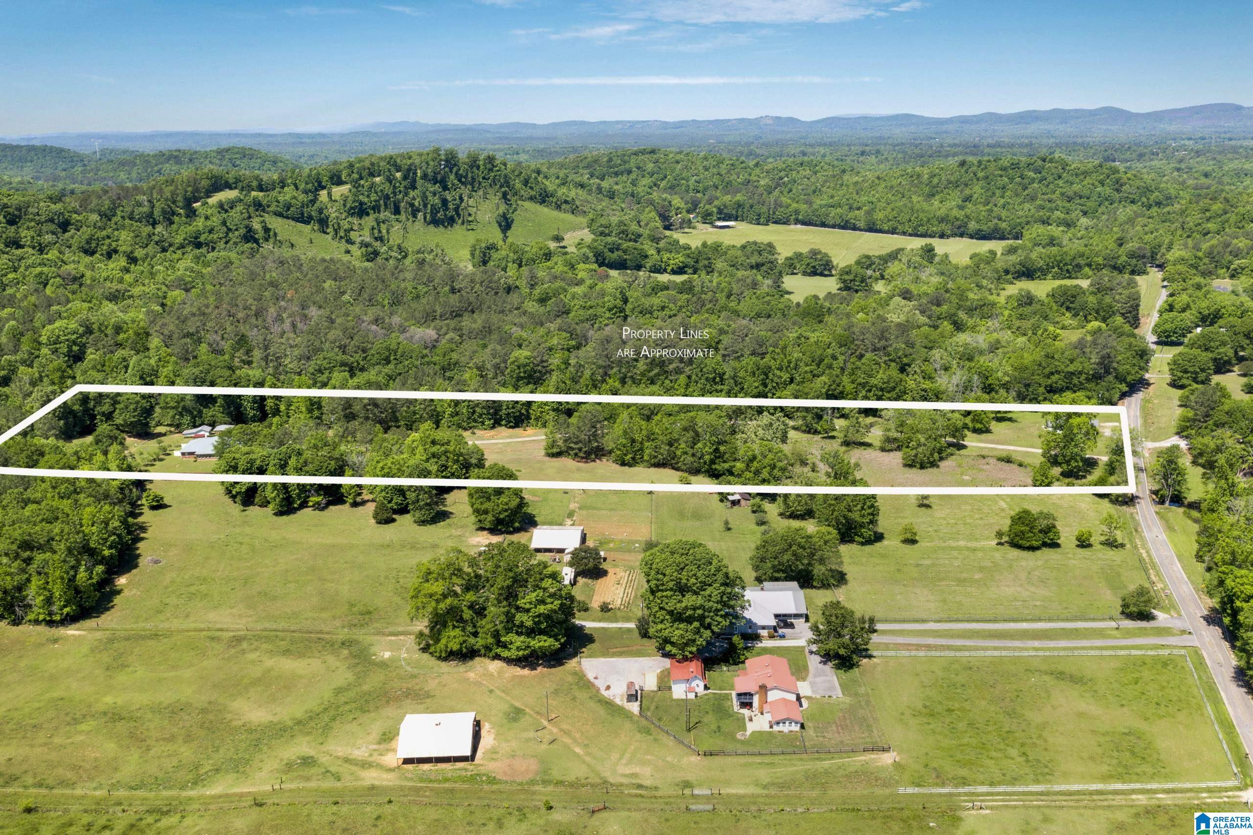 466 Seven Springs Road Wellington, AL 36279 - Photo 60 of 62