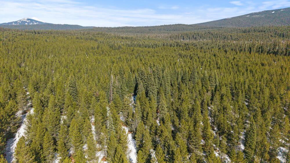 0 Clover Creek Road, Unit 71022 Klamath Falls, OR 97601 - Photo 9 of 15 9 CloverCreekRd600Acres-28