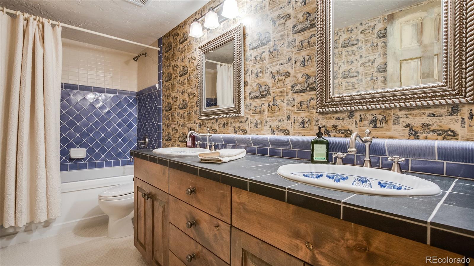 5178 South Elk Ridge Road Evergreen, CO 80439 - Photo 24 of 35 Gallery Image 24