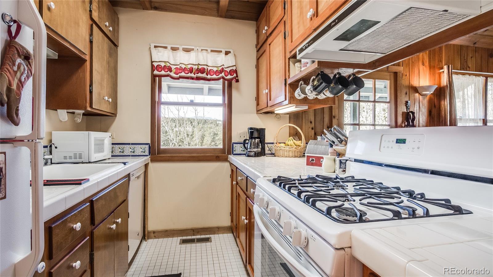 5178 South Elk Ridge Road Evergreen, CO 80439 - Photo 26 of 35 Gallery Image 26
