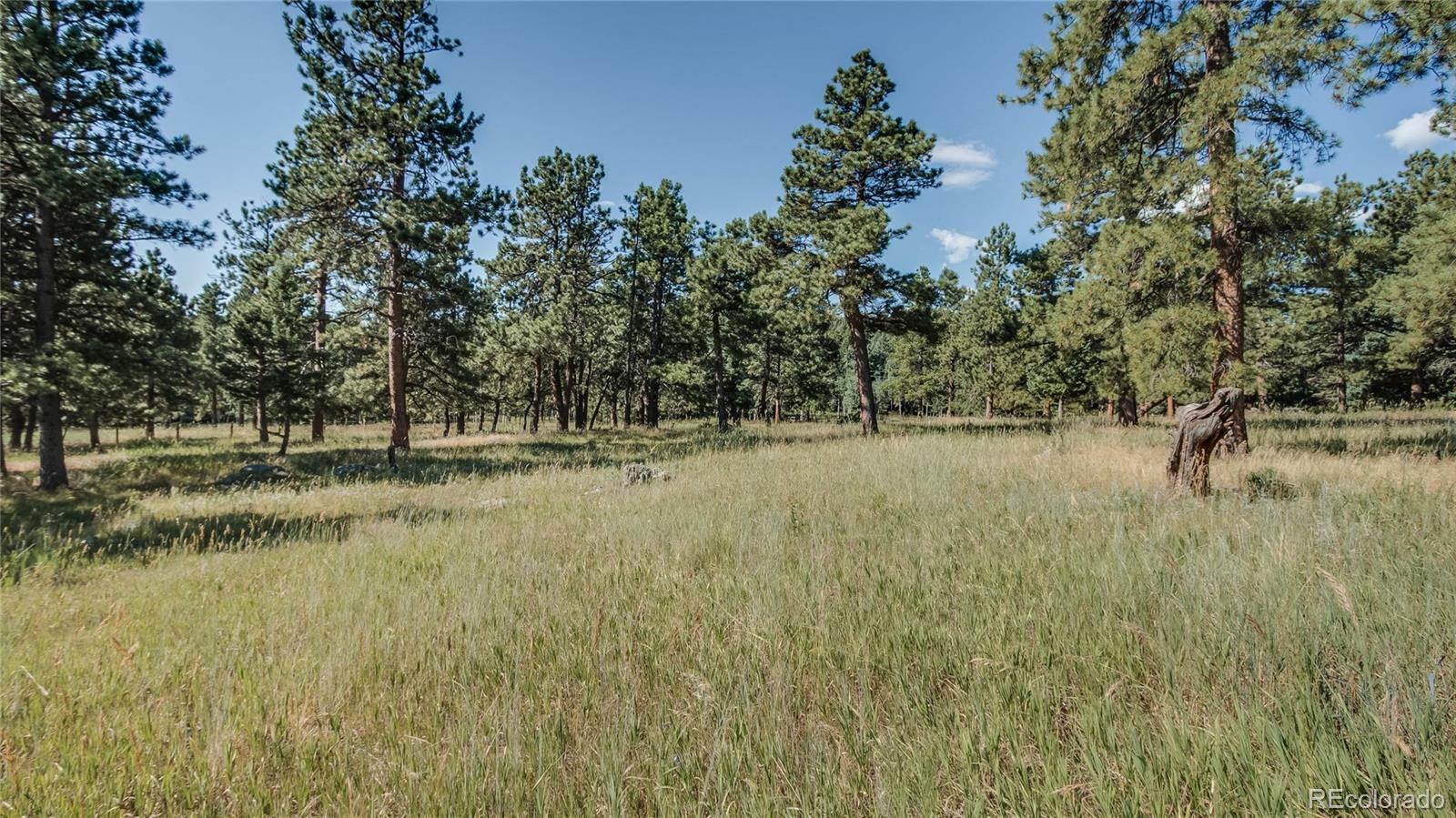 5178 South Elk Ridge Road Evergreen, CO 80439 - Photo 33 of 35 Gallery Image 33