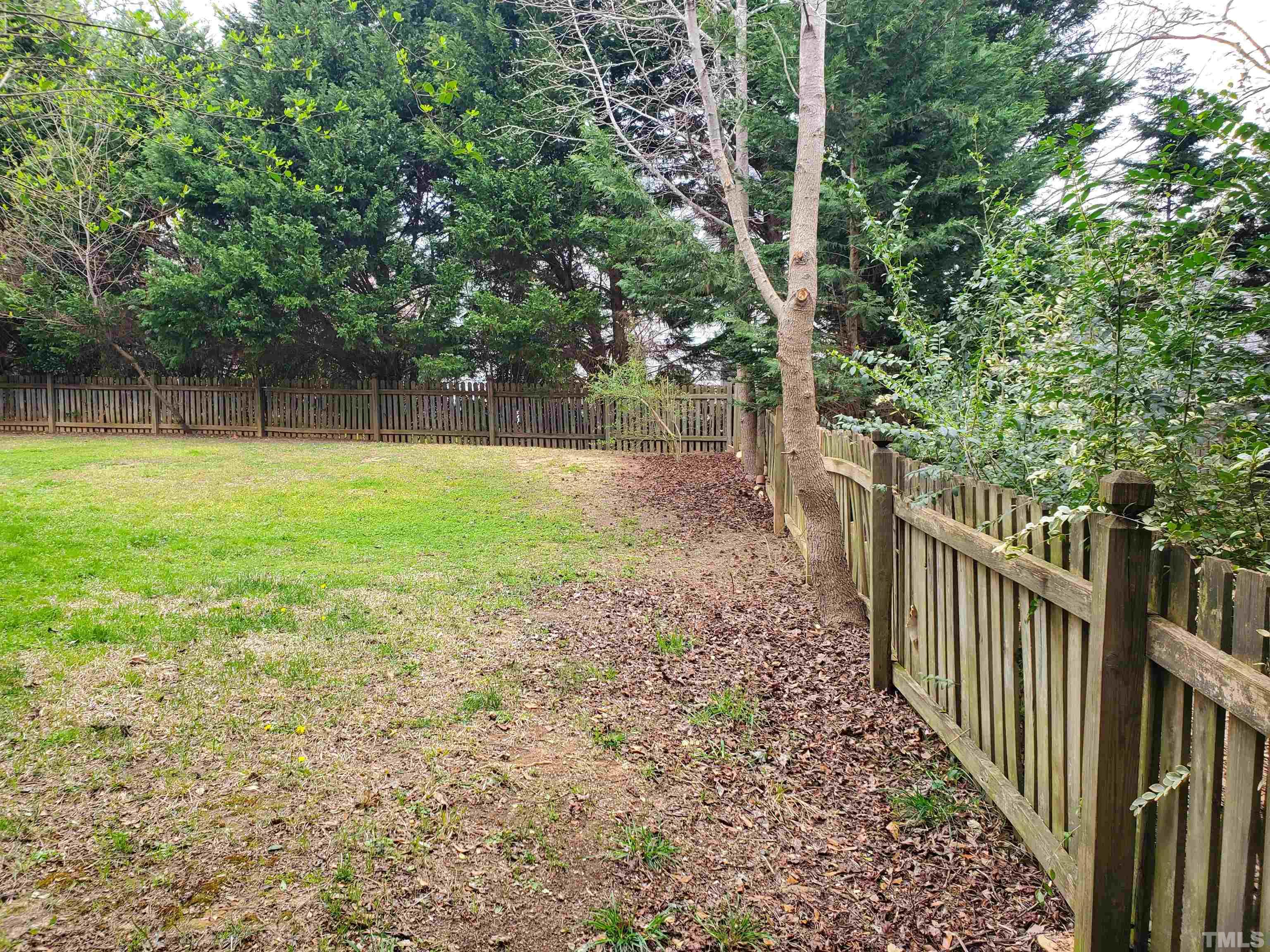 114 Calebra Way Cary, NC 27519 - Photo 4 of 50 a view of a backyard with a trees