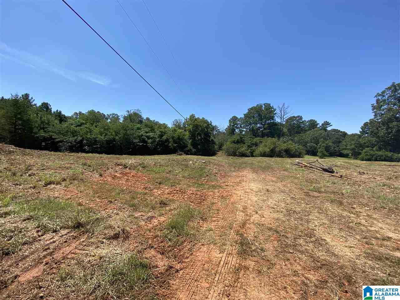 989 State Farm Road Alexandria, AL 36250 - Photo 1 of 7