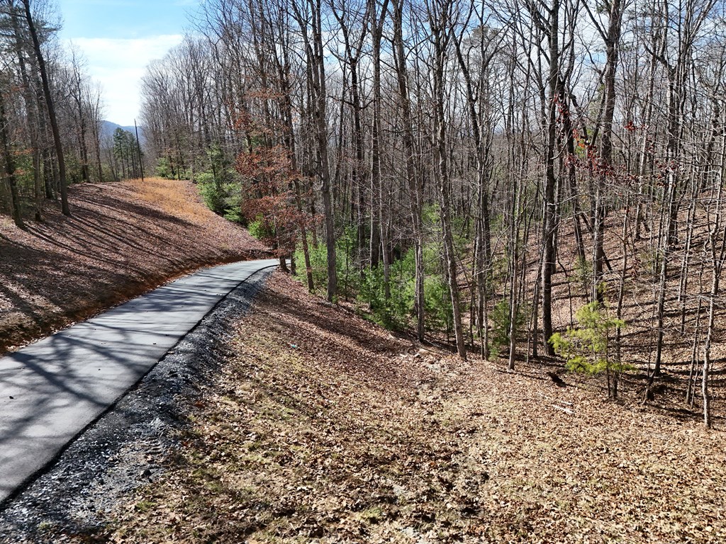 2.94-acr Padena Road Blue Ridge, GA 30513 - Photo 18 of 43 Gallery Image 18