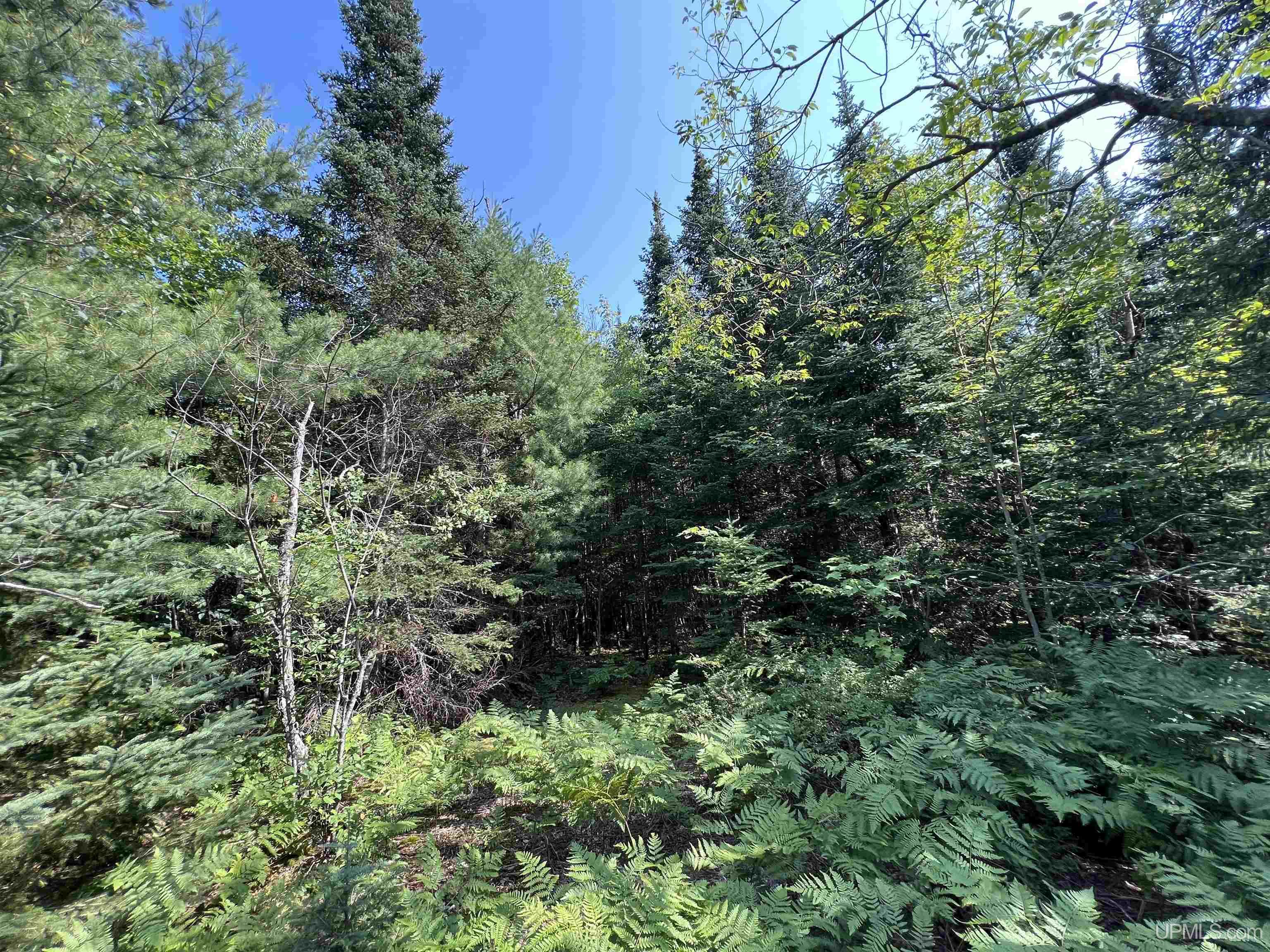 Tbd Tbd Ridge Road Munising, MI 49862 - Photo 19 of 33 Gallery Image 19