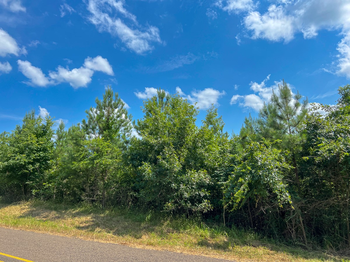 5 Interstate 35 Natalia, TX 78059 - Photo 2 of 9