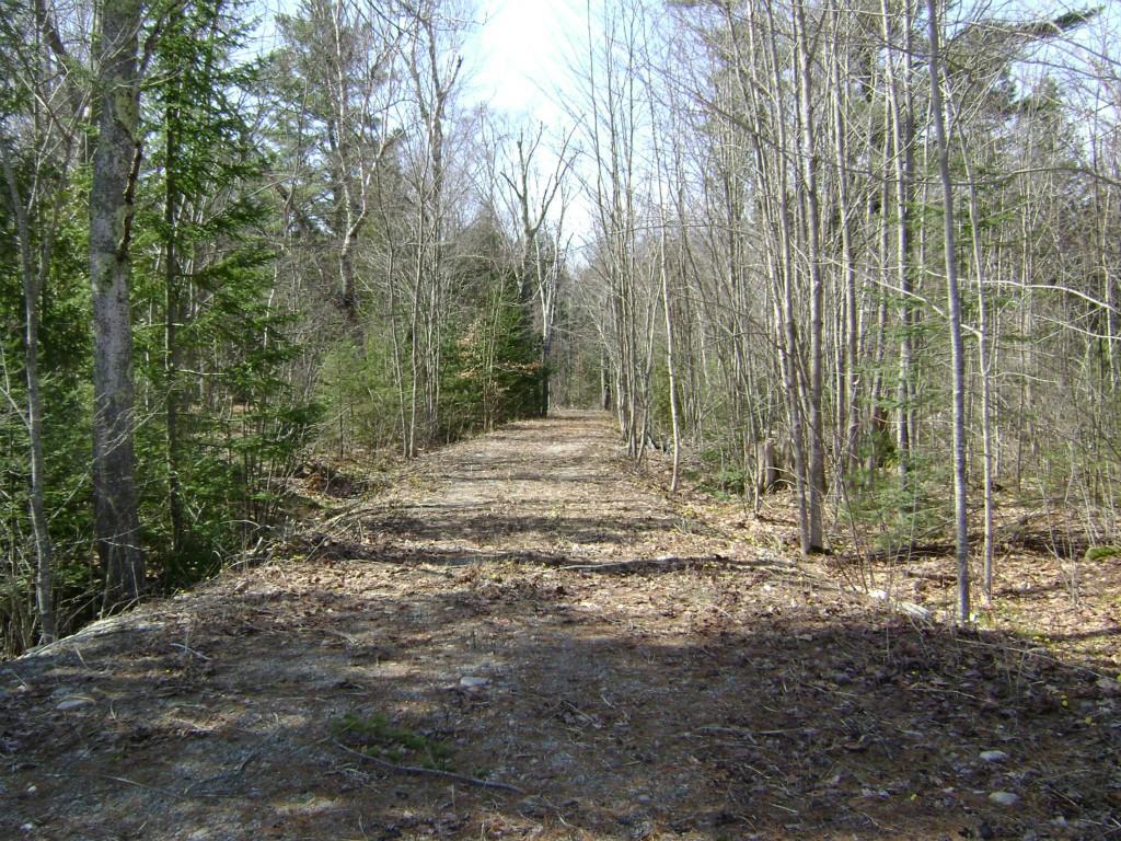 0 Denslow Road Stockton Springs, ME 04981 - Photo 1 of 3 Driveway in place.